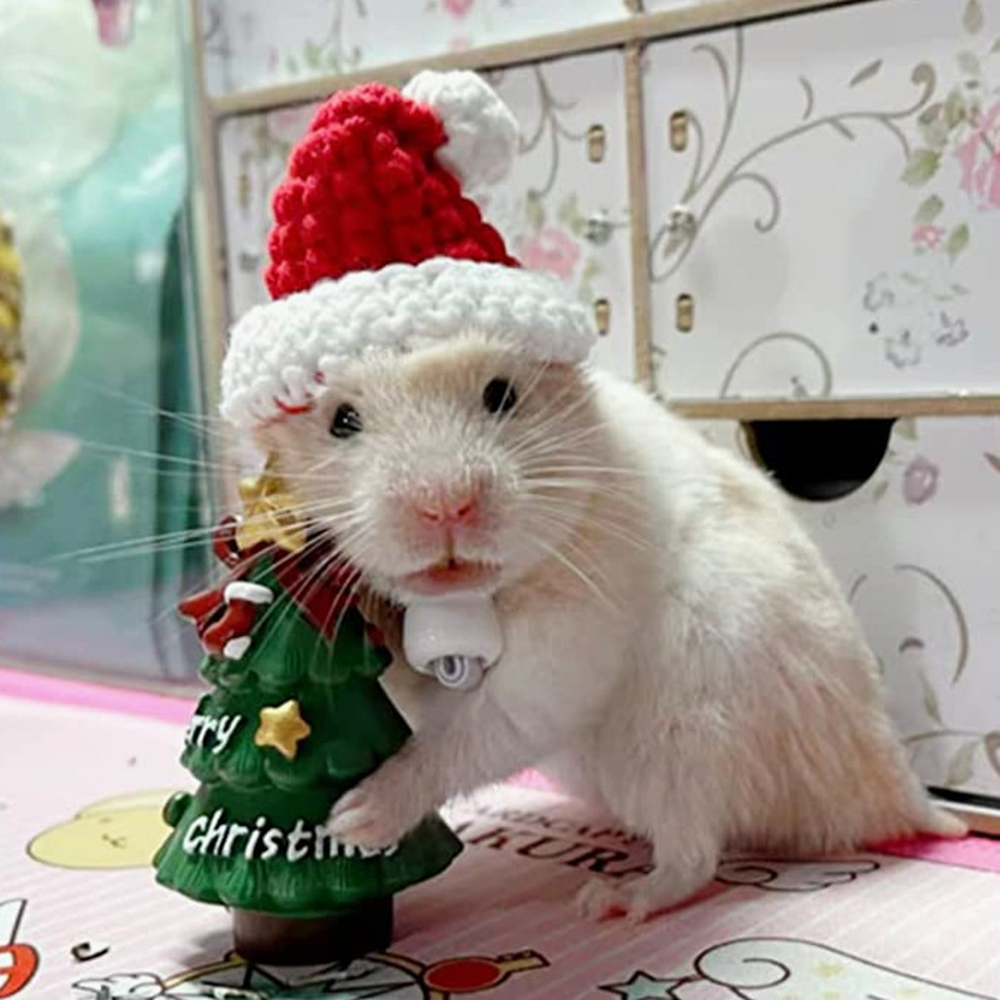 Hand Woven Pet Christmas Hat D – обзор и цена Santa Hat Plush