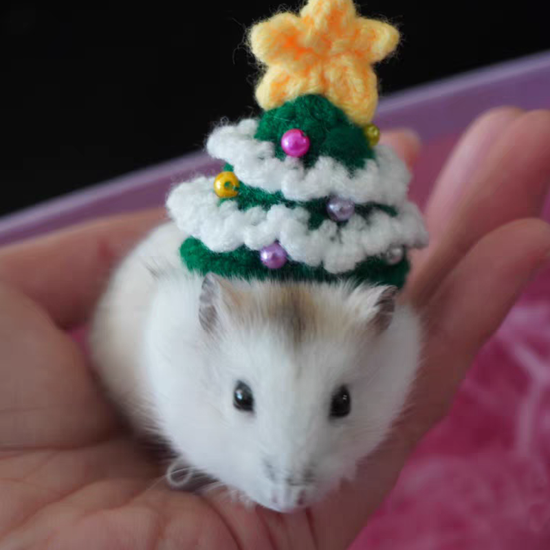 Hand Woven Pet Christmas Hat D – обзор и цена Santa Hat Plush