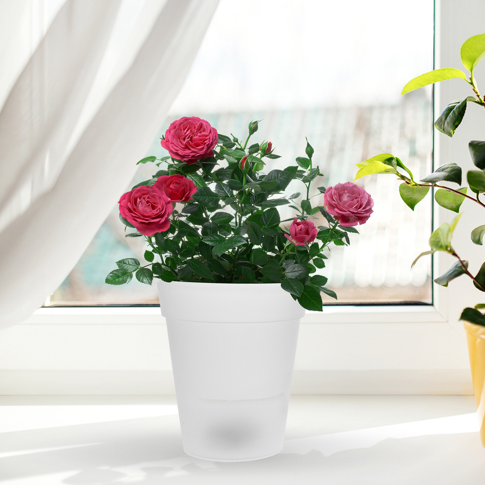 Flowerpot Solar Light Outdoor  – обзор и цена Christmas Lights Outdoor