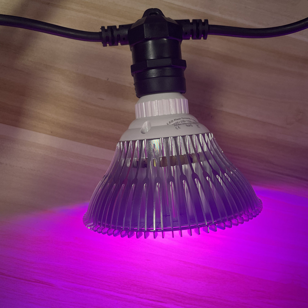 10M Cable LED String Commercia – обзор и цена Led Fairy String Lights